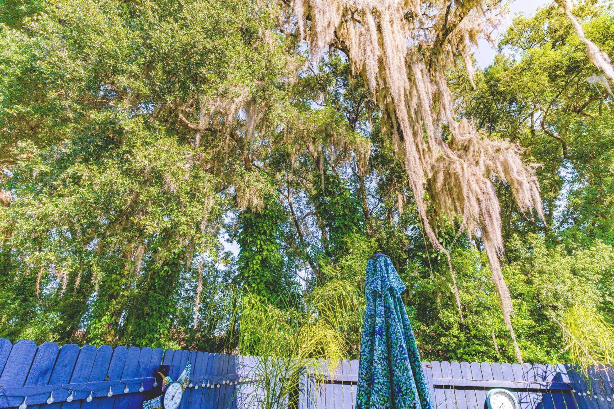 The Estate At Mt Dora Hotel Mount Dora Luaran gambar